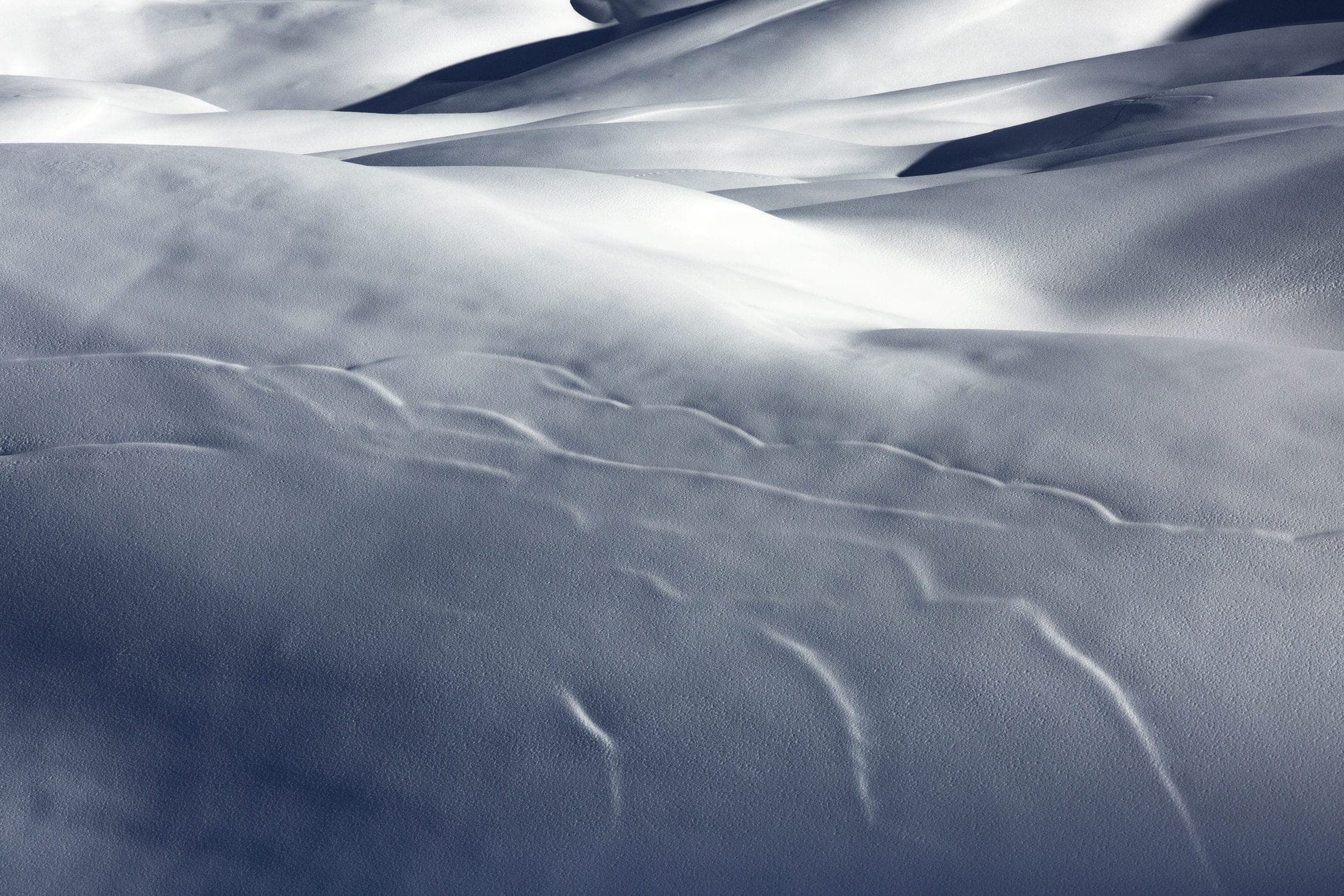 Wind-sculpted snow surface, bluish shadows