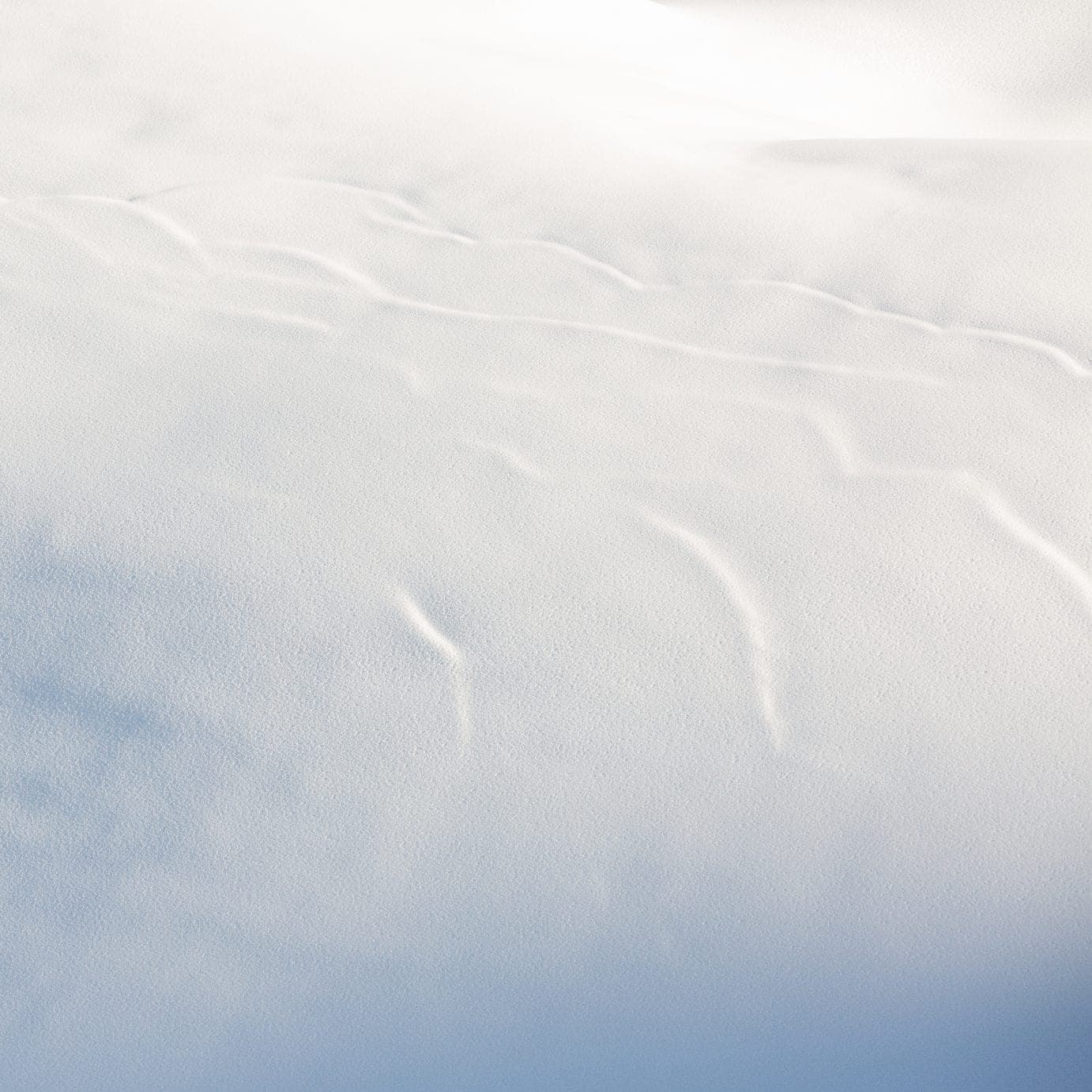Immaculate snow swept by the wind